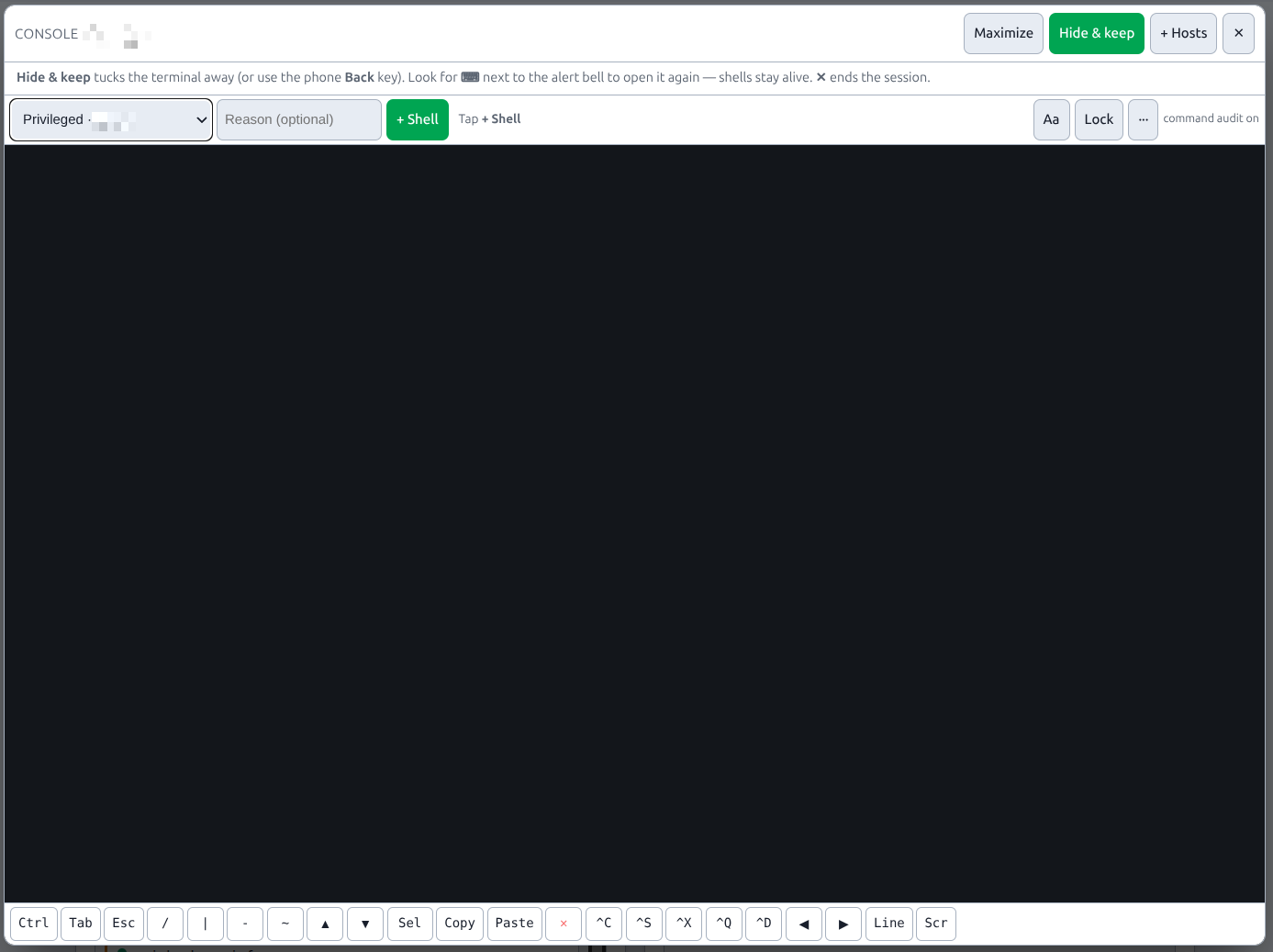 Host Files editor
