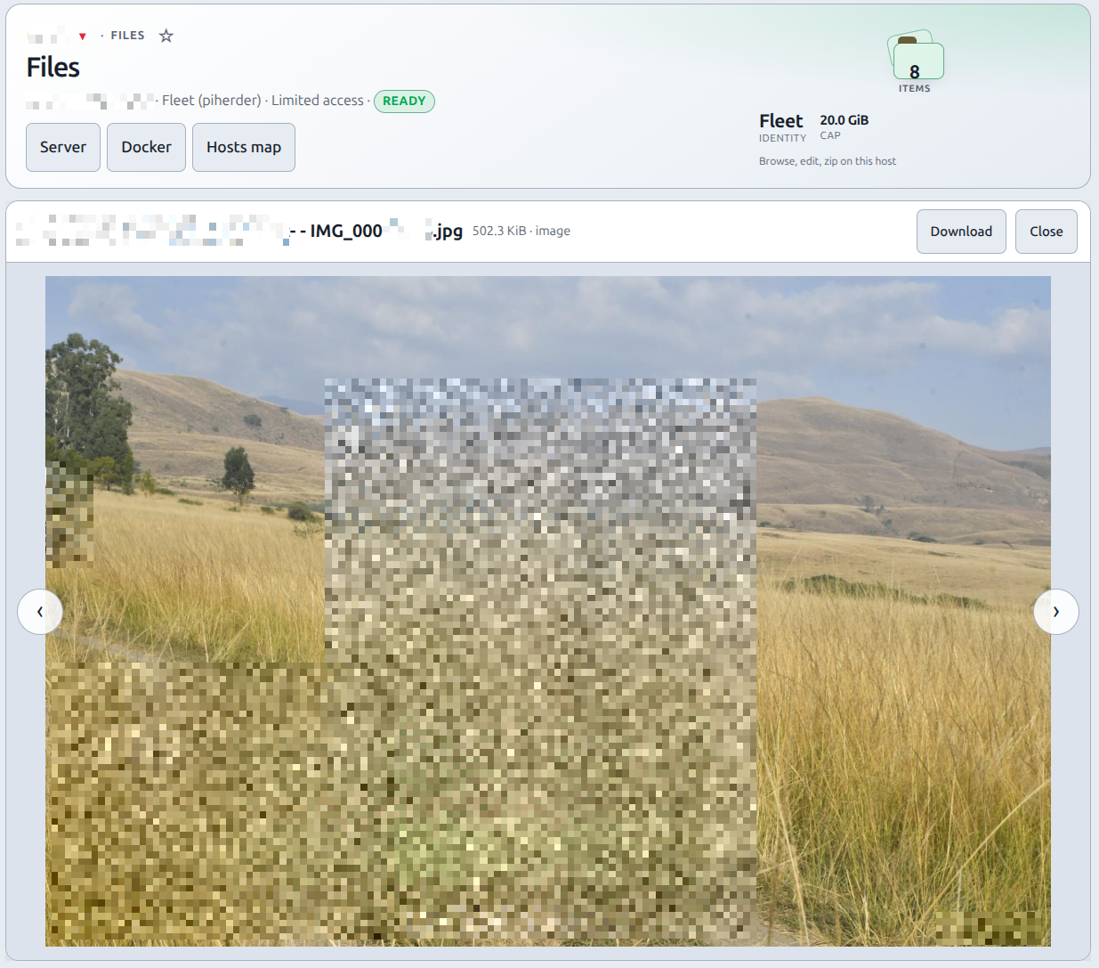 Host Files preview